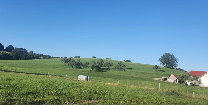 Landgasthof Adler